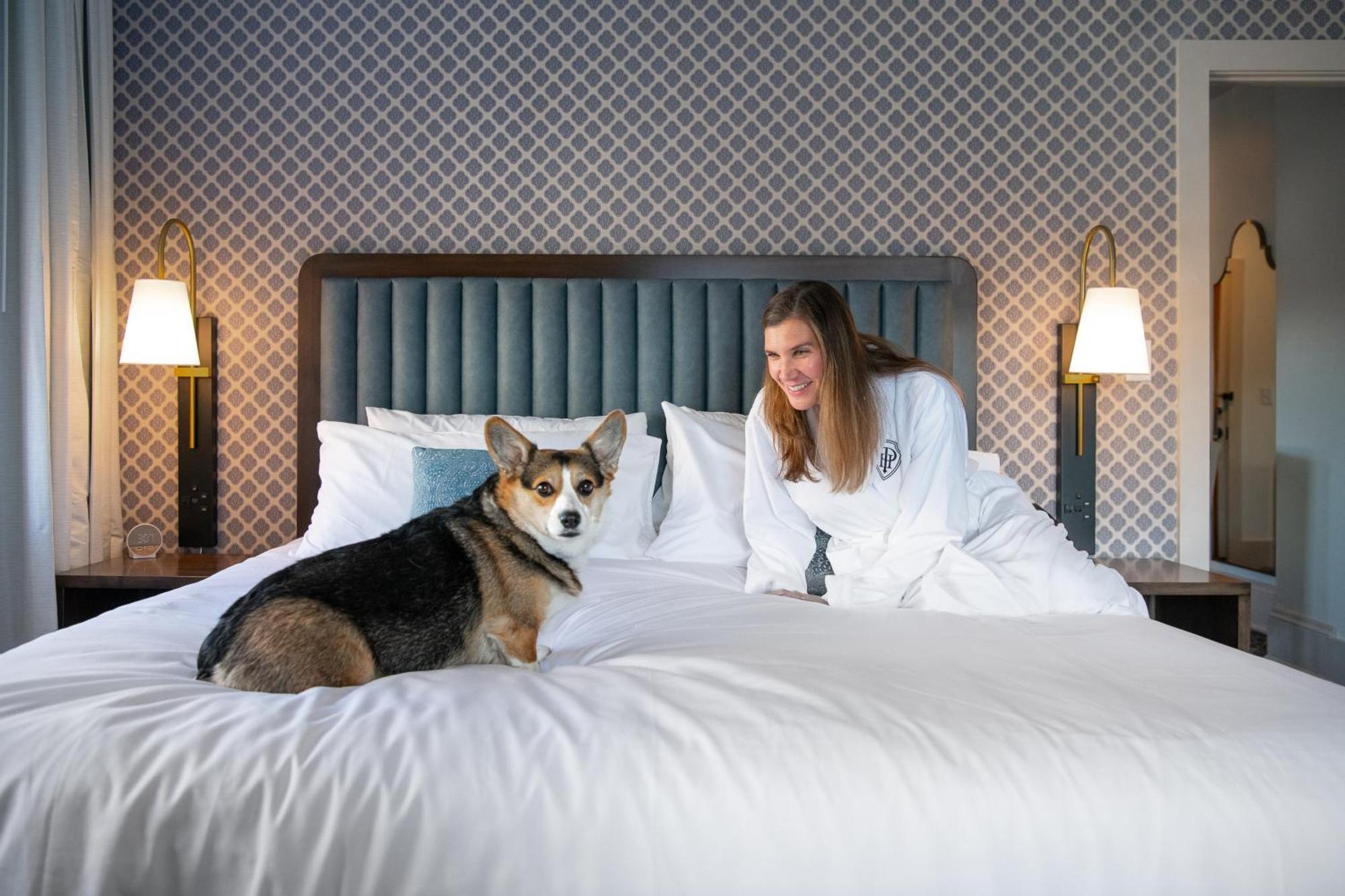 Hotel Petersburg, Tapestry Collection By Hilton Buitenkant foto